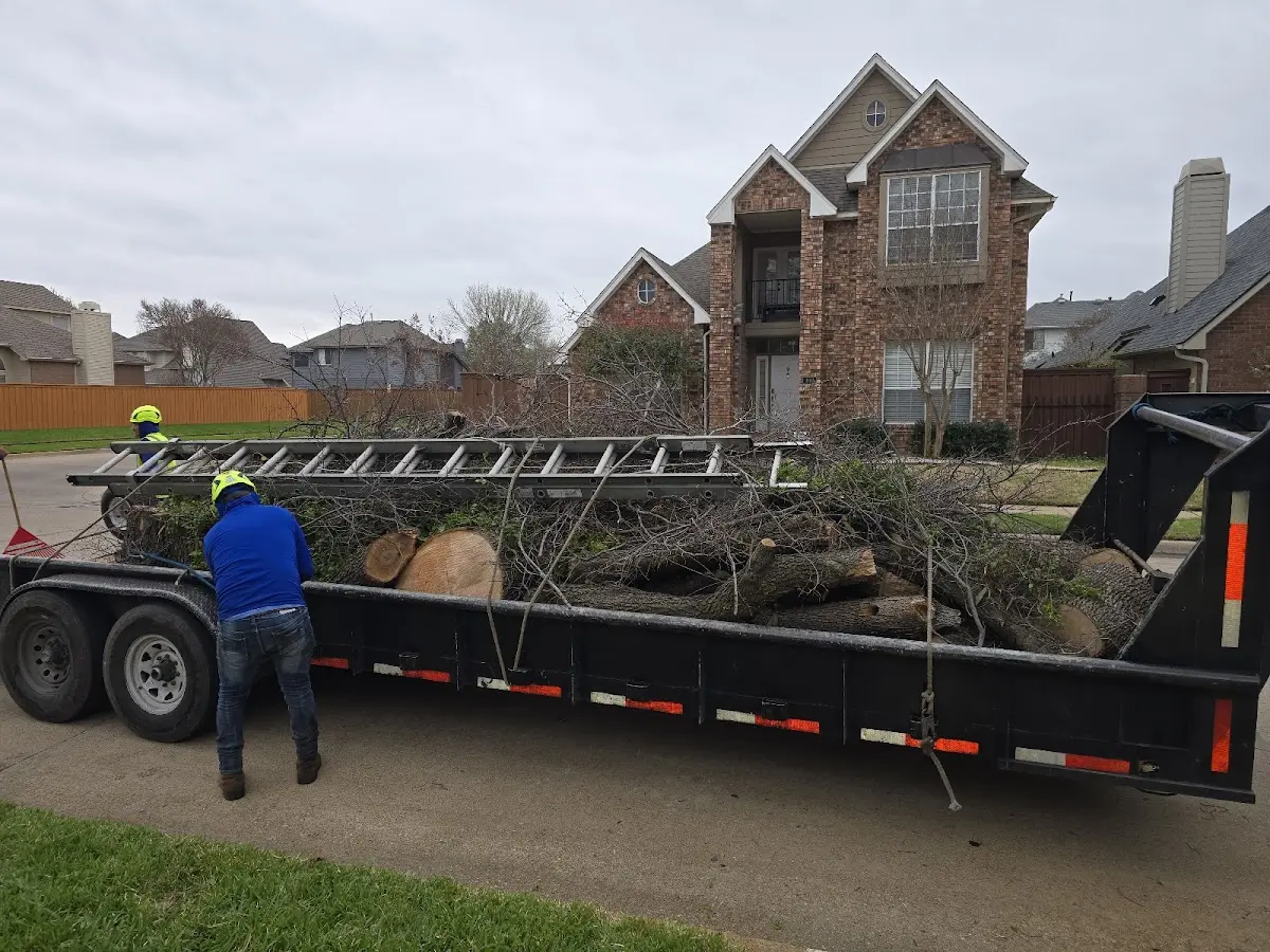 Expert Tree Pest Control with proper safety equipment in Burnside